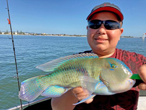 Gold Coast Coomera fishing