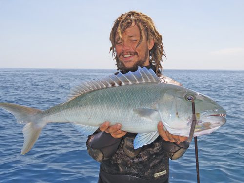 Wild Cape York