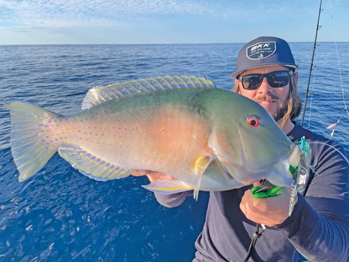 How to make lures from stainless butter knives - Bush 'n Beach Fishing