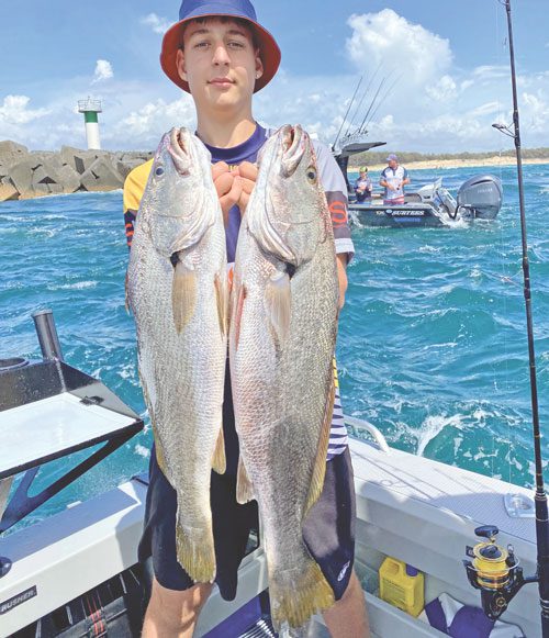 Gold Coast snapper