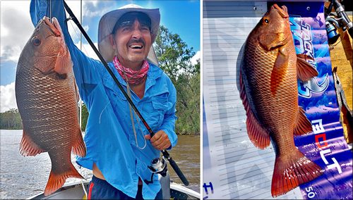 Noosa - Weekend fishing report