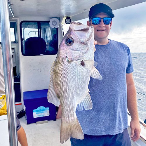 Noosa fishing report