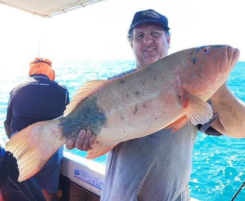 Bundaberg weekly fishing report