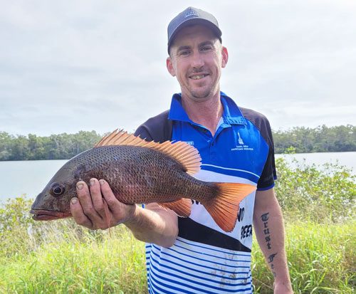 Bundaberg weekly fishing report