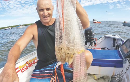 Gold Coast snapper