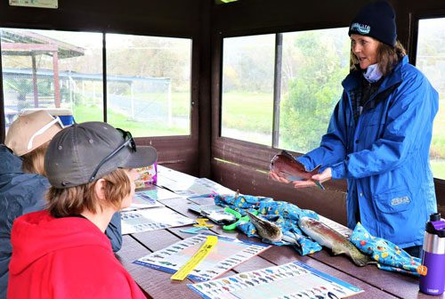 NSW Fisheries volunteers