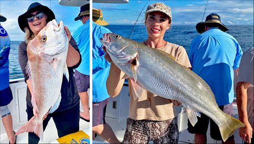 Noosa fishing