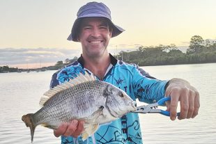 Bundaberg weekly fishing report