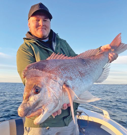 Gold Coast snapper