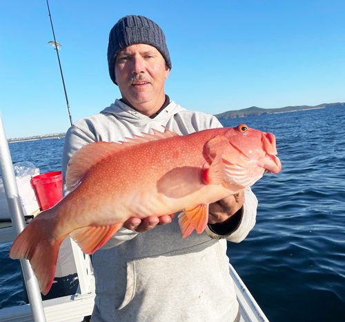 Noosa Fishing