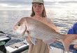 Winter fishing heats up on Sunshine Coast
