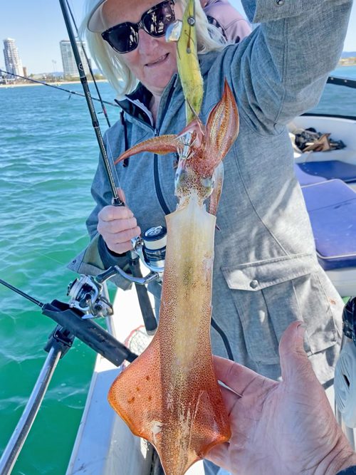 Gold Coast Coomera - weekly report - Bush 'n Beach Fishing Magazine