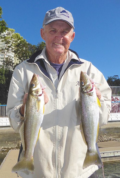 Fishing the Coomera River on the Gold Coast: A Complete Guide