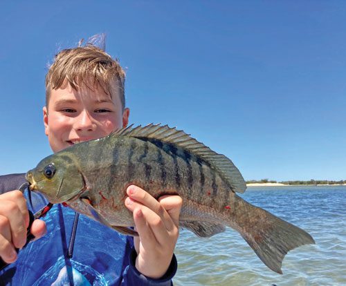 Small lures - big fish - Bush 'n Beach Fishing Magazine