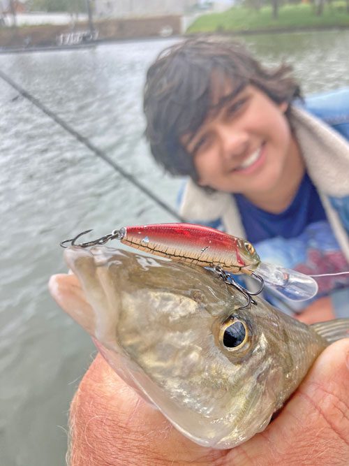 Small Lure Big Fish 👌 @islam_akawy @mohssine_fishing #coast_anglers_team  #dont_kill_your_fun #catchandrelease Gear used: @zenaq