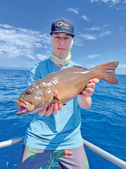 Species Calendar - Fishing Charters Cairns