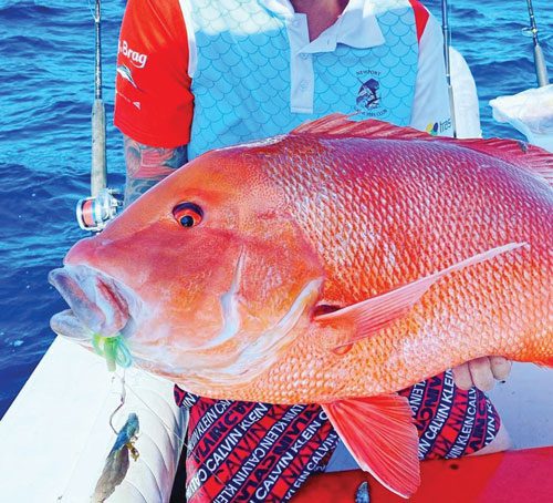 How to use flashers offshore with bait - #bnbfishingmag