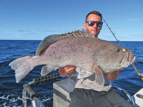 Cool offshore live baiting tactics - Bush 'n Beach Fishing Magazine