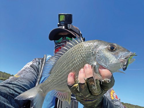 Fishing Monthly Magazines : Flat-out on Bream and Whiting