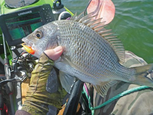 Micro plastics fishing methods - #bnbfishingmag