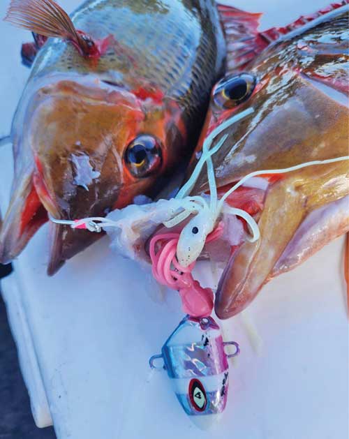 Whole Fish on Ganged Hooks – Tackle Tactics