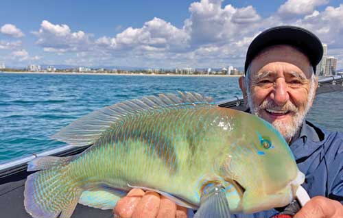 Flathead making up the bulk of Gold Coast catch - Bush 'n Beach