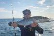 Switching tactics for spotted mackerel