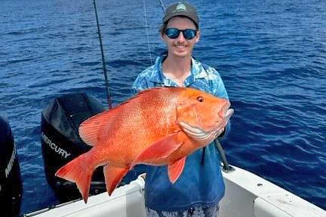 Bundaberg – weekly fishing report