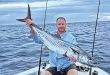 Dead bait for solid spanish mackerel