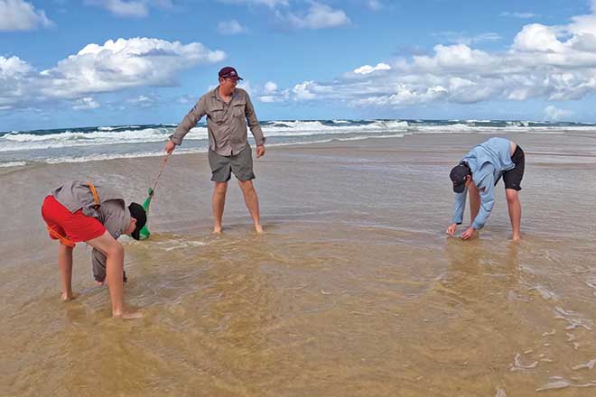 Catching Bush Guide to catching your own bait - Bush 'n Beach Fishing Magazine