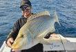 Bundaberg – weekly fishing report