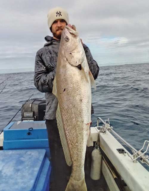 Cracking jewfish off walls - Bush 'n Beach Fishing Magazine