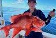 Bundaberg – weekly fishing report