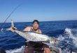 Bundaberg – weekly fishing report