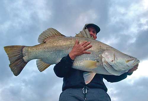 barramundi