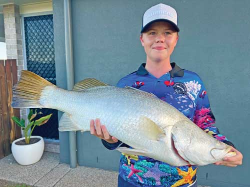 barramundi