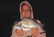 Top fishing along the Iluka breakwall