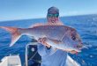 Snapper on fire in Tin Can Bay