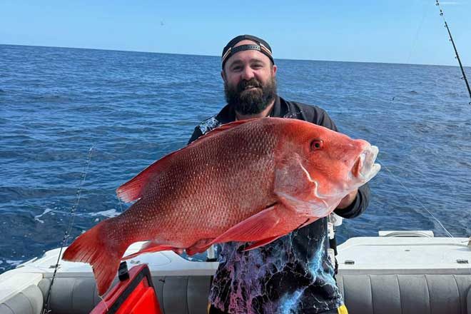 Bundaberg – weekly fishing report