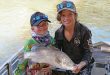 Cape York barramundi