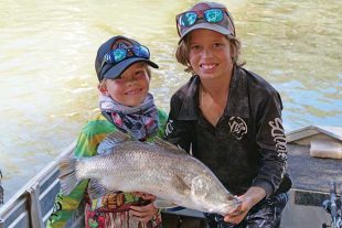 barramundi