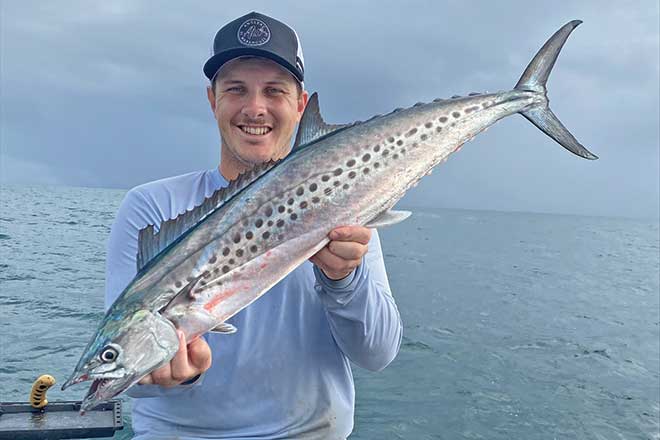 Spotted mackerel season