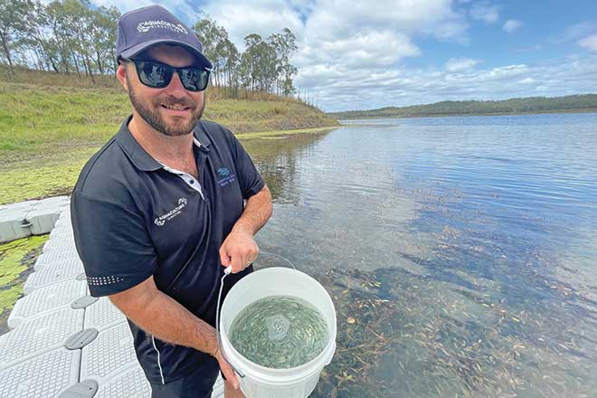 Aquaculture Gladstone celebrates sea mullet