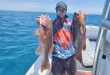 Bundaberg – weekly fishing report