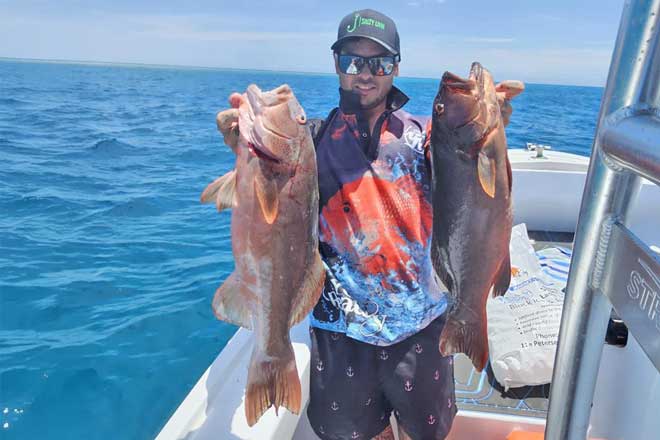 Bundaberg – weekly fishing report