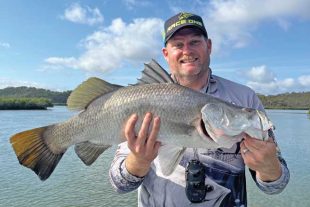 barramundi