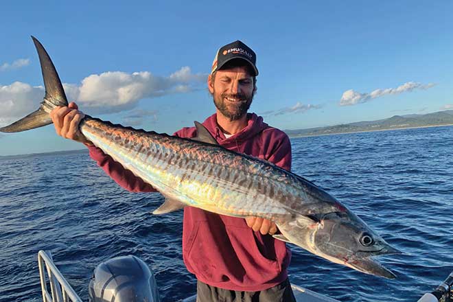 Mackerel mayhem month