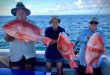 Bundaberg – weekly fishing report