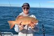 Bundaberg – weekly fishing report