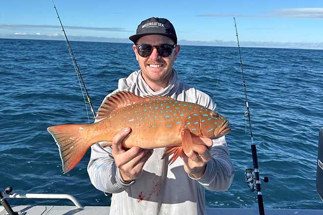 Bundaberg – weekly fishing report